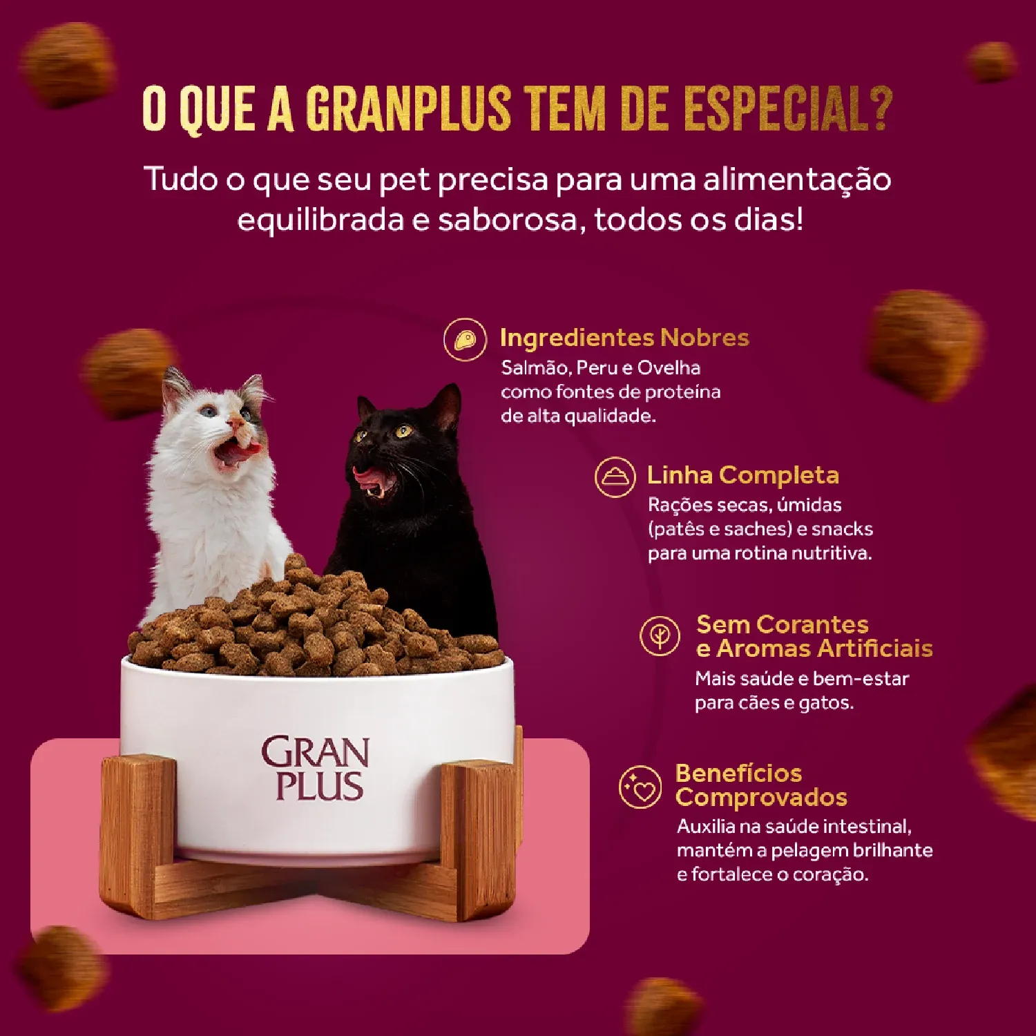 Racao GranPlus Menu Gatos Importante